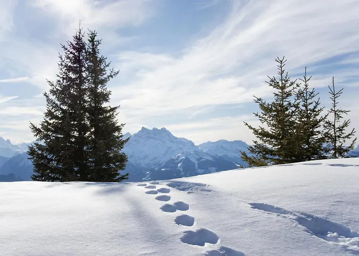 Apartment Villars Soleil A27 By Interhome Apartment *